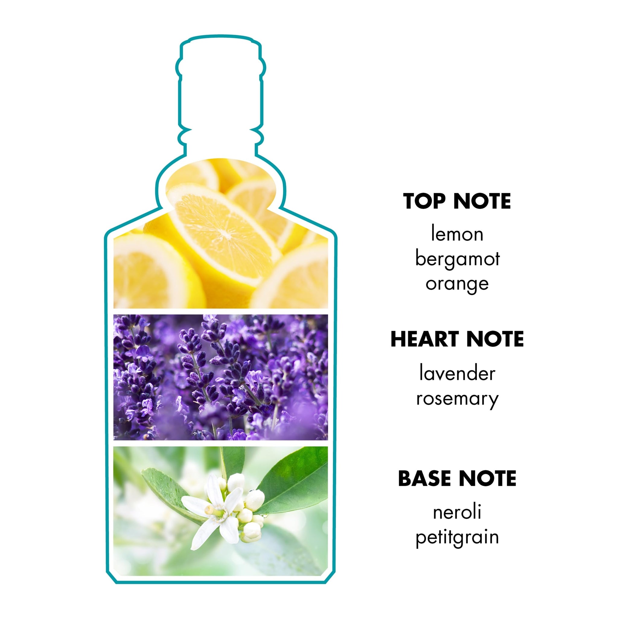 4711 Echt Kolnisch Wasser Original Eau de Cologne, 100ml, Unisex Citrus and Herbal Fragrance - packaging