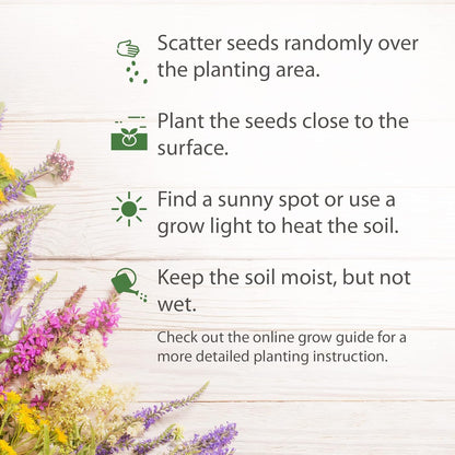 ACTROVAX Antirrhinum Braun-Blanquetii 'Candy Spires' Seeds, Open Pollinated Heirloom Snapdragon Seeds - ingredients panel