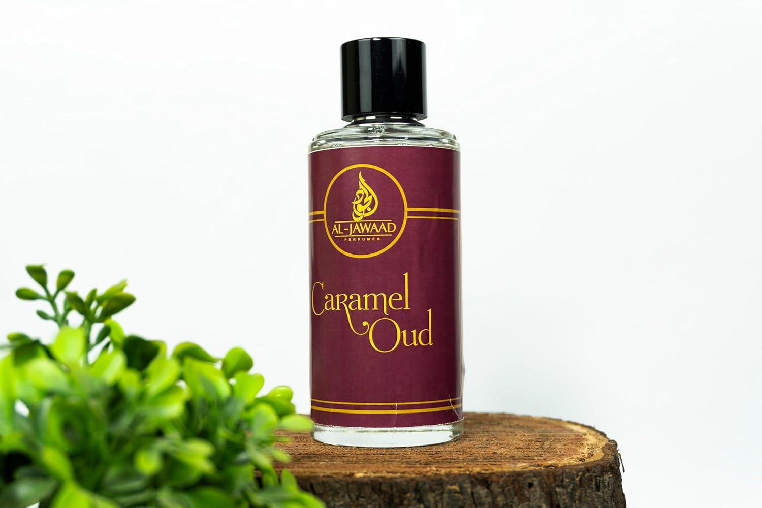 AL JAWAAD Eau de Parfum for Men, 80ml, Long Lasting Fragrance, Made in UAE - back view (8)