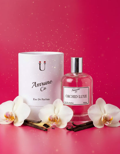 Amrune Co Eau de Parfum (EDP), 35% Fragrance Concentration, Adult Personal Fragrance - back view (43)