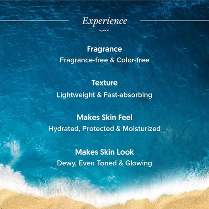 Aqualogica Detan+ Dewy Sunscreen with Cherry Tomato & Hyaluronic Acid, SPF 50 PA++++, Gel Formula, 80g, Pack of 2 - ingredien