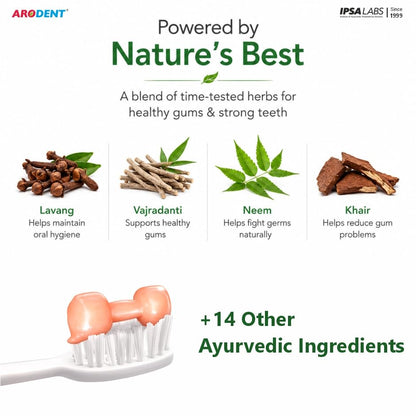 Arodent Ayurvedic Herbal Toothpaste for Gum & Dental Care - 50g - close-up detail