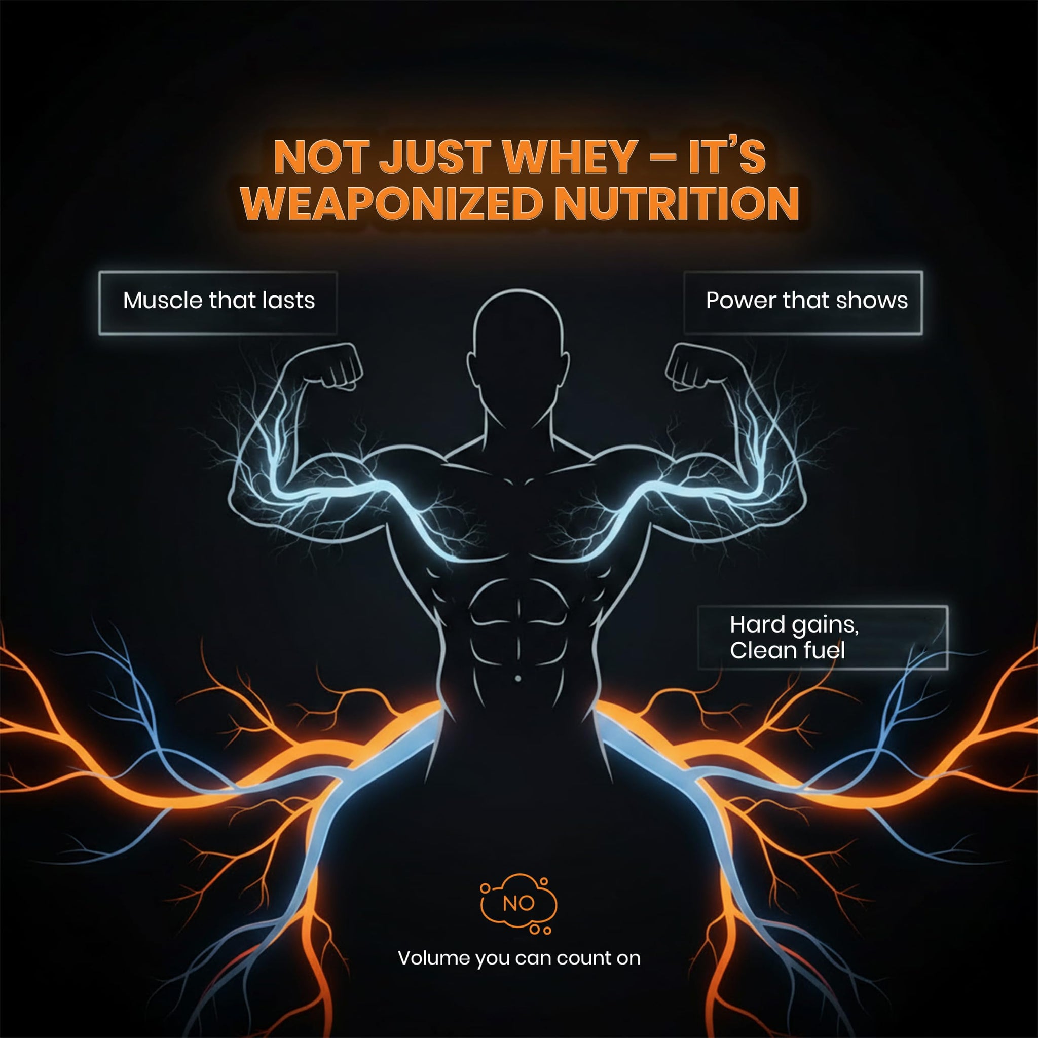 Asitis Nutrition ATOM Nitro Whey Protein Supplement Powder with Creatine and Digestive Enzymes - ingredients panel