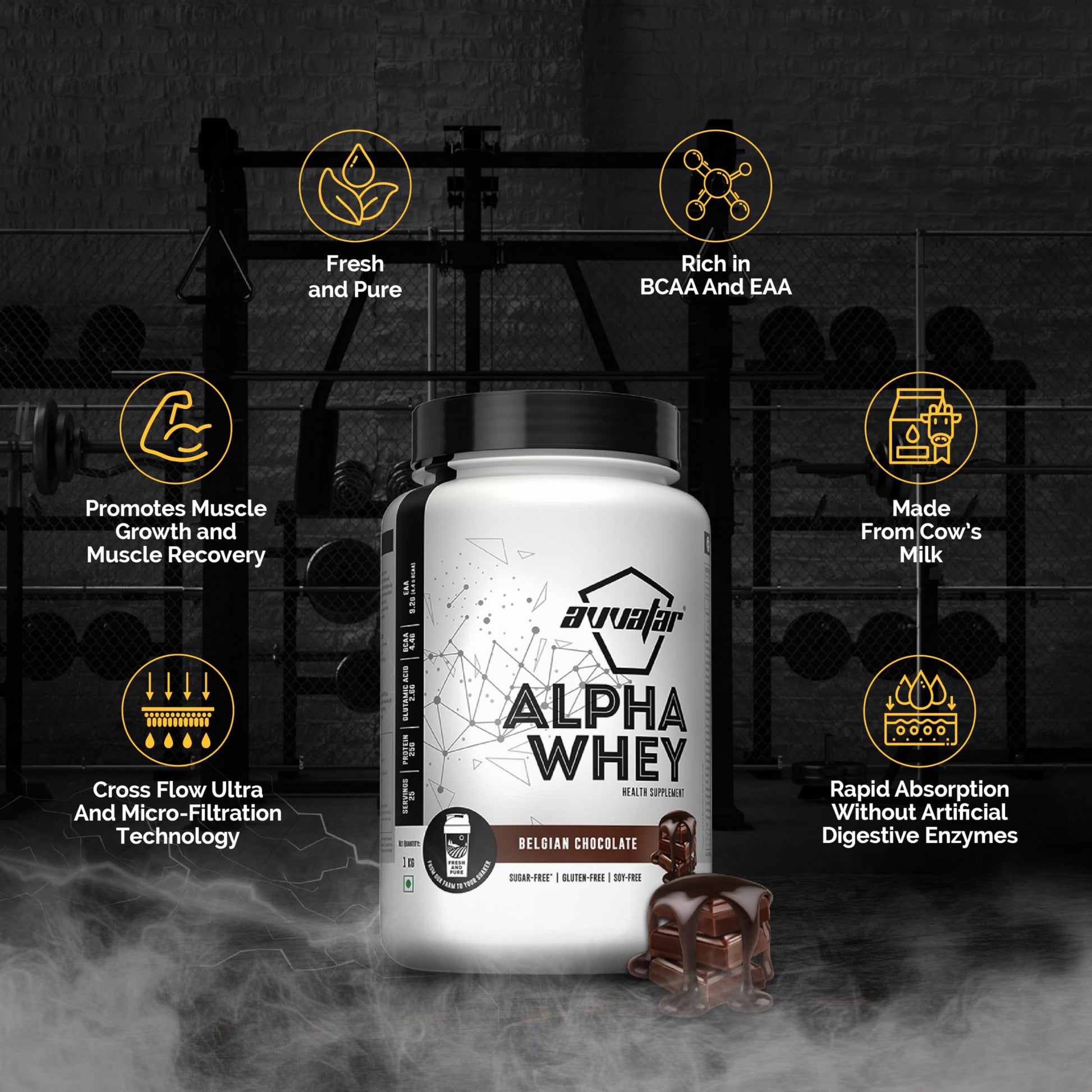 avvatar Alpha Whey Protein Powder, 1kg, 25 Servings, with Whey and Milk Protein Concentrate, Enriched with Vitamins and Miner