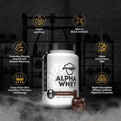 avvatar Alpha Whey Protein Powder, 1kg, 25 Servings, with Whey and Milk Protein Concentrate, Enriched with Vitamins and Miner