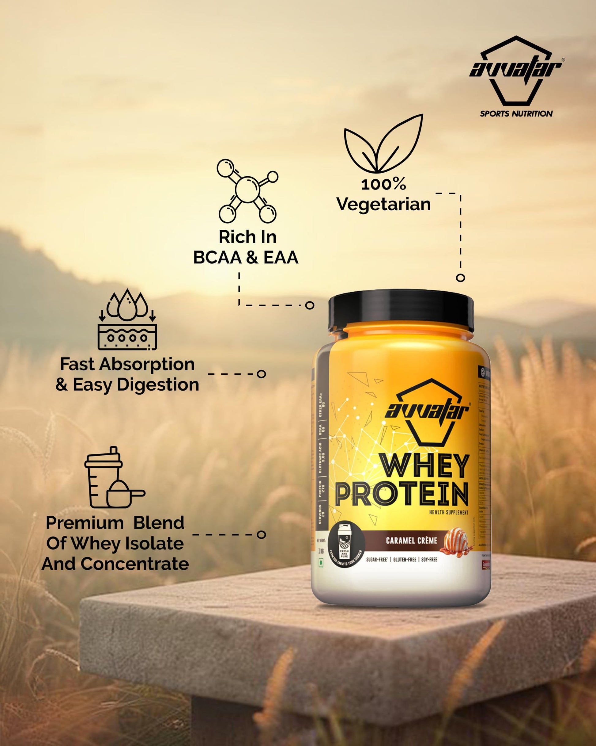 avvatar Whey Protein Powder, Isolate & Concentrate Blend, 27g Protein Per Serving, Adult - back view