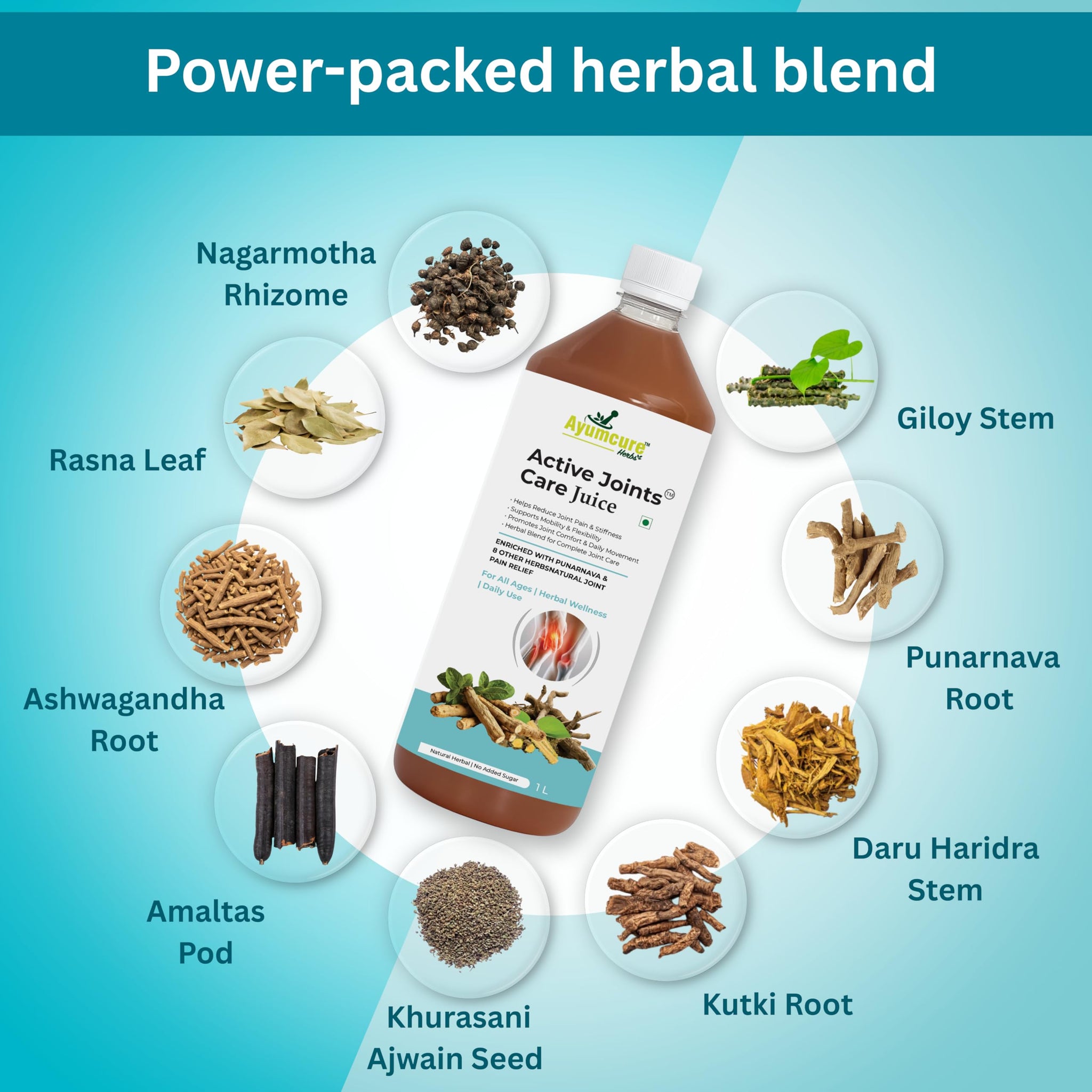 Ayumcure Active Joints Care Juice - Herbal Supplement, 1L, with Punarnava and 8 Herbs, No Added Sugar - front view