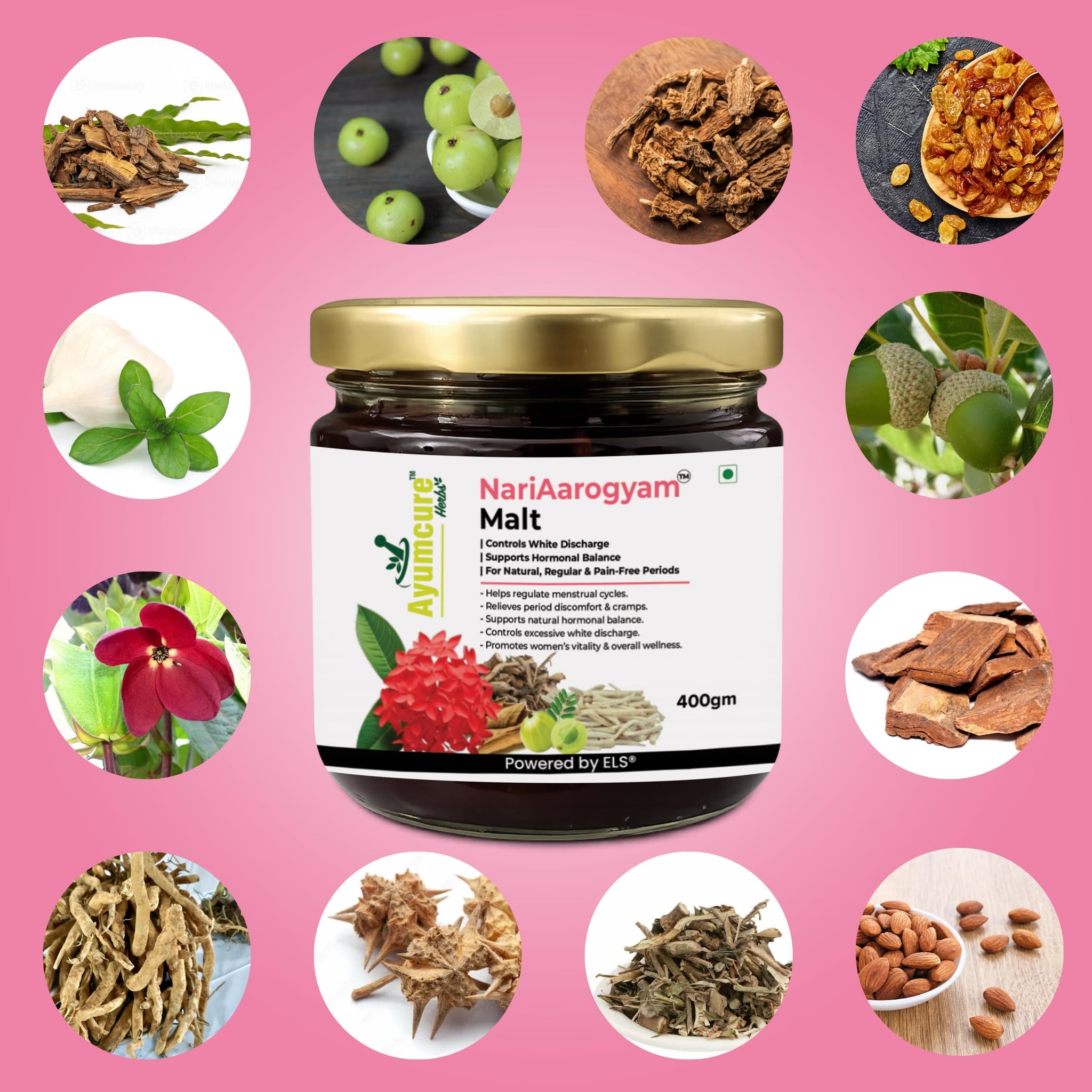 Ayumcure NariAarogyam Ayurvedic Herbal Women's Health Formula, No Added Sugar, No Artificial Colors or Flavors - front view (