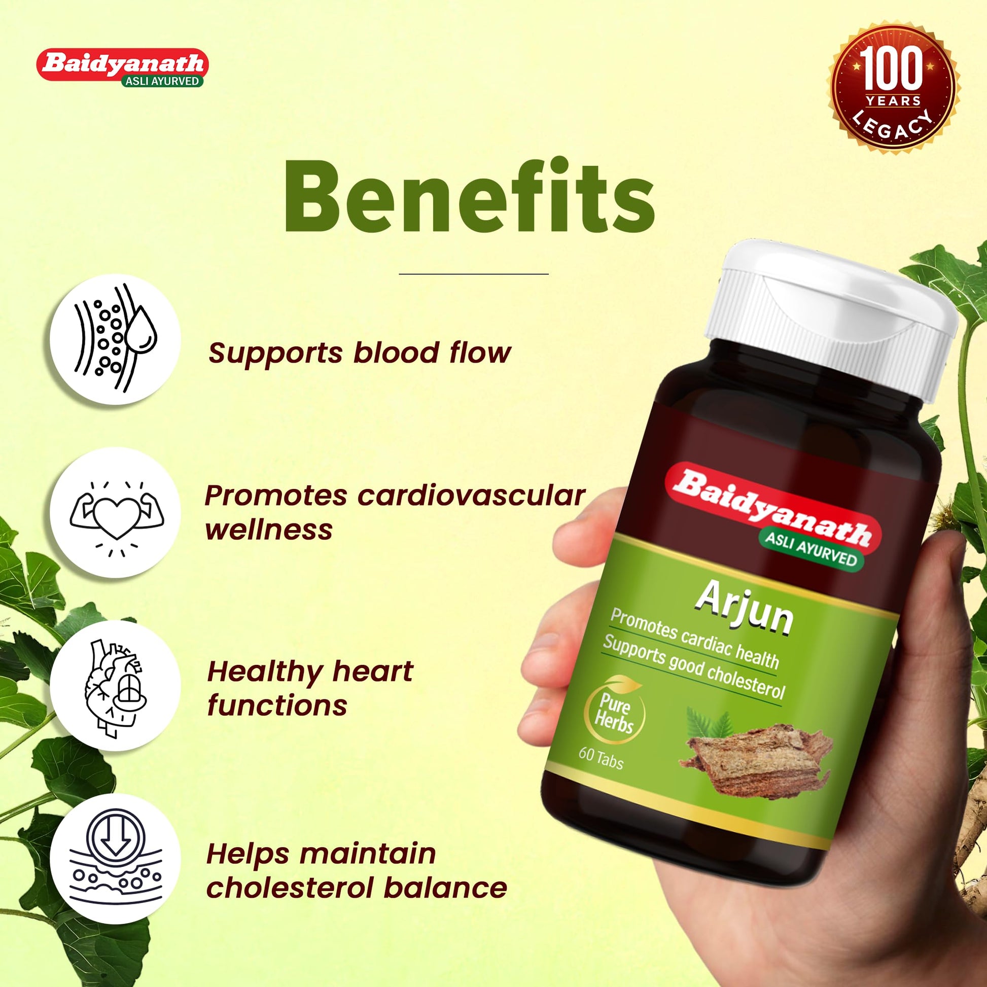 Baidyanath Arjun Tablets, 60 Count, Pack of 2, Ayurvedic Herb Supplement, 200g - back view