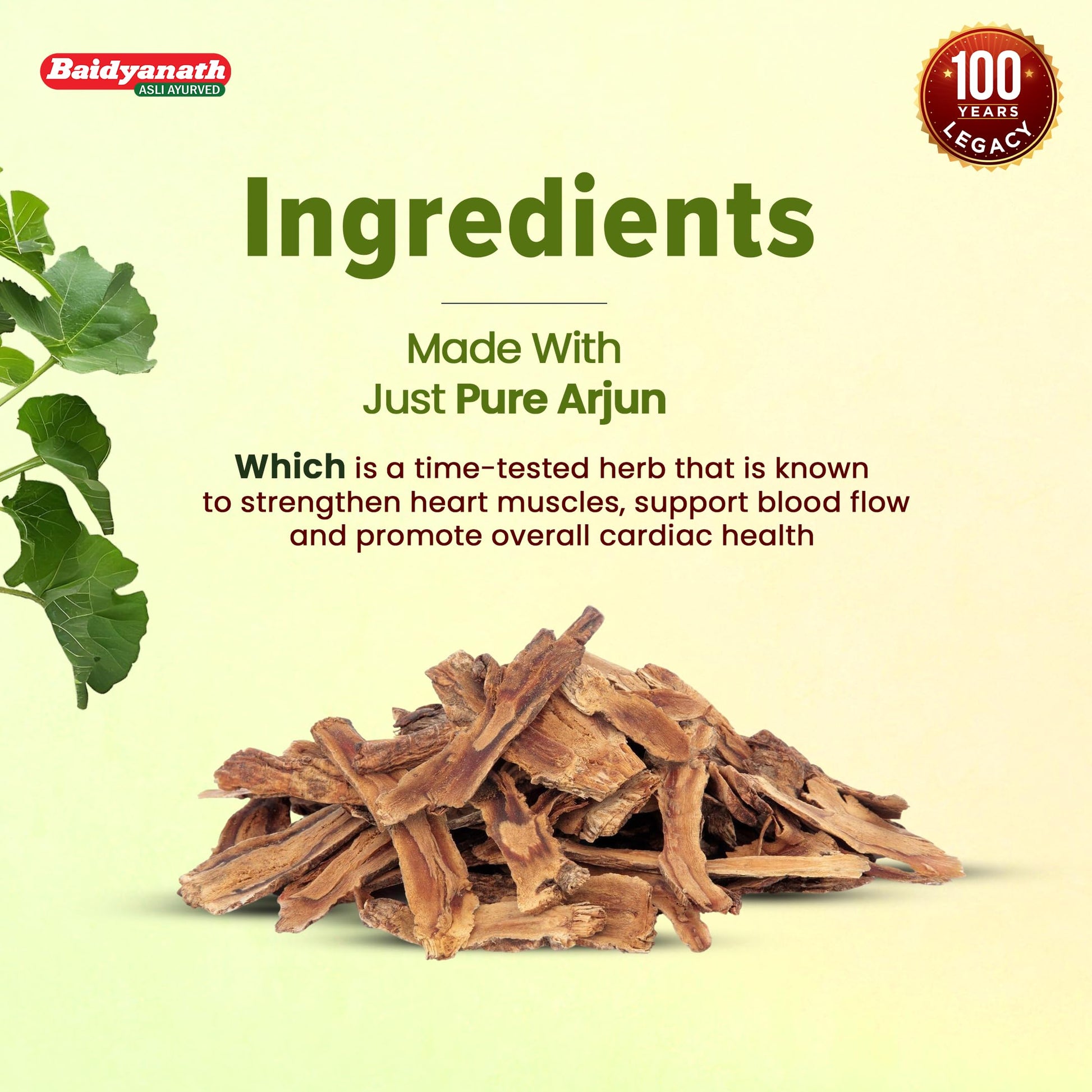 Baidyanath Arjun Tablets, 60 Count, Pack of 2, Ayurvedic Herb Supplement, 200g - packaging
