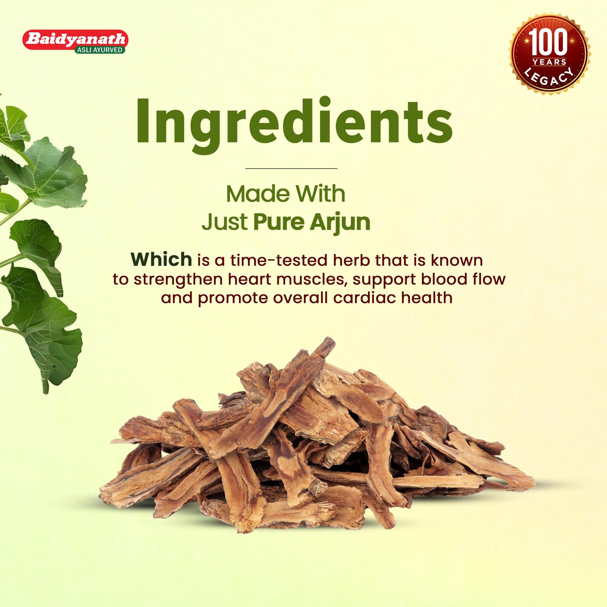 Baidyanath Arjun Tablets, 60 Count, Pack of 2, Ayurvedic Herb Supplement, 200g - packaging