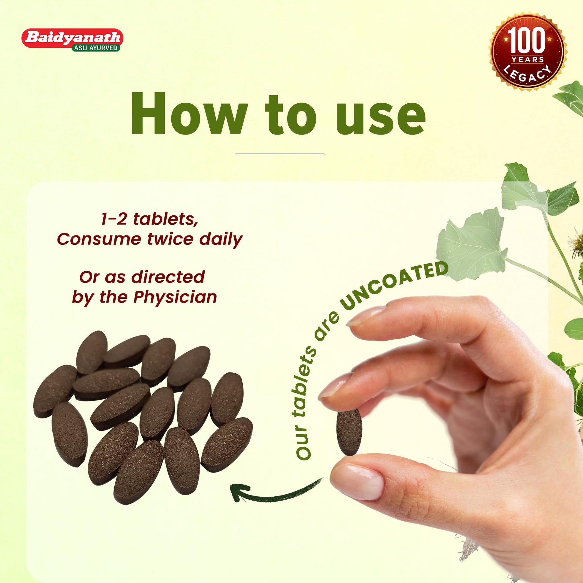 Baidyanath Arjun Tablets, 60 Count, Pack of 2, Ayurvedic Herb Supplement, 200g - label detail
