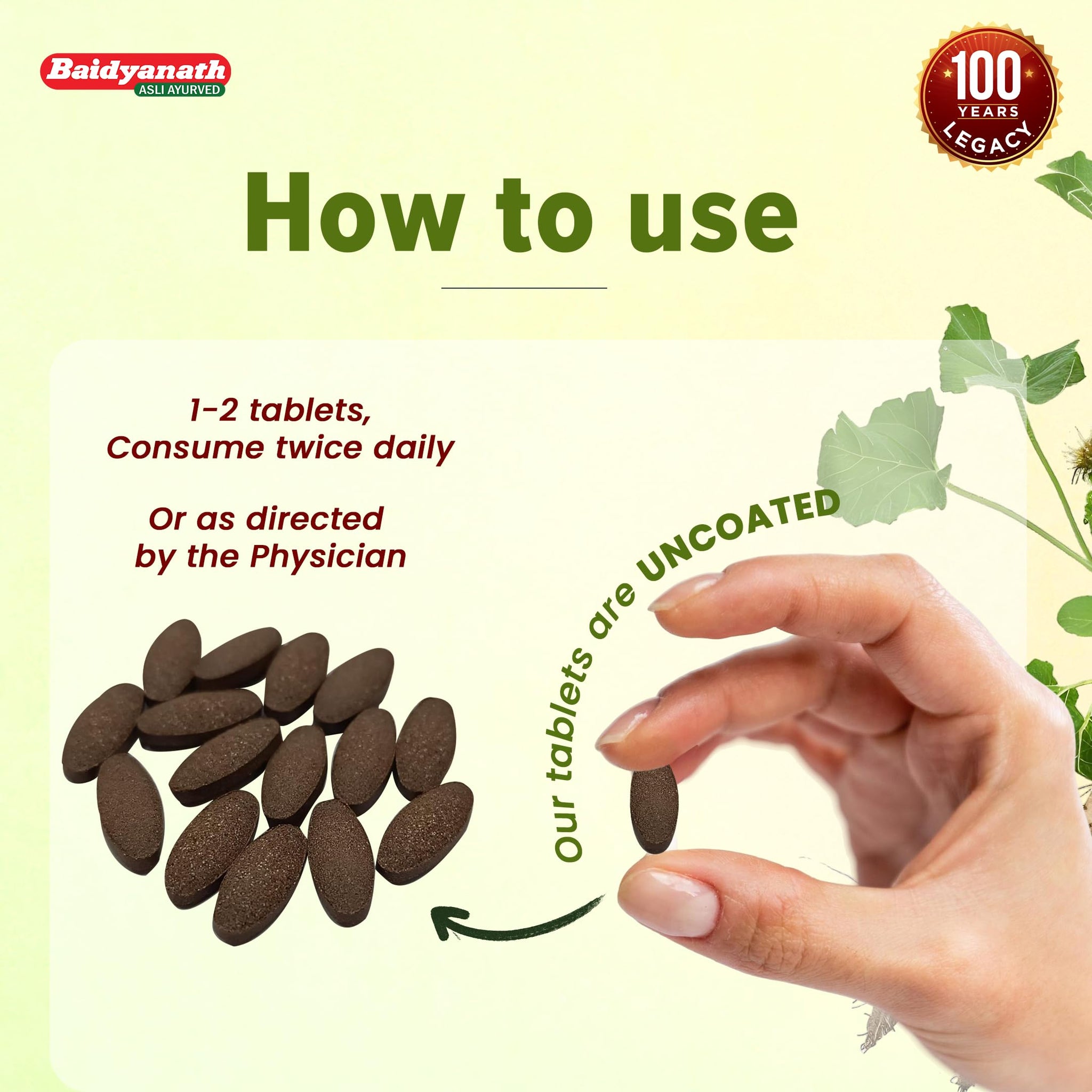 Baidyanath Arjun Tablets, 60 Count, Pack of 2, Ayurvedic Herb Supplement, 200g - label detail