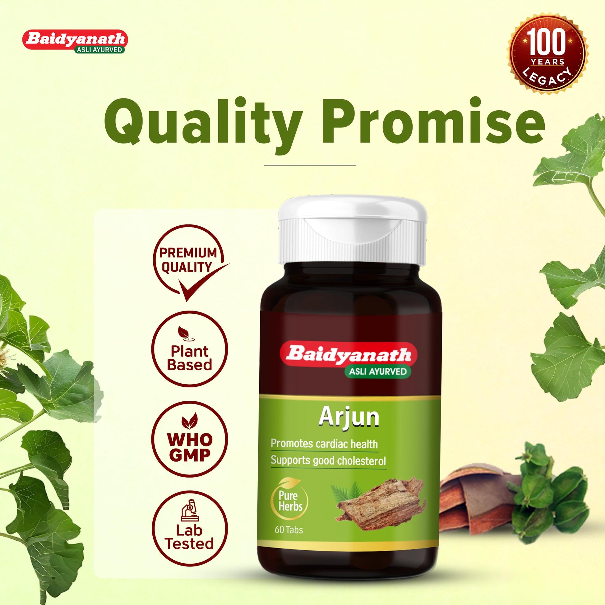 Baidyanath Arjun Tablets, 60 Count, Pack of 2, Ayurvedic Herb Supplement, 200g - ingredients panel