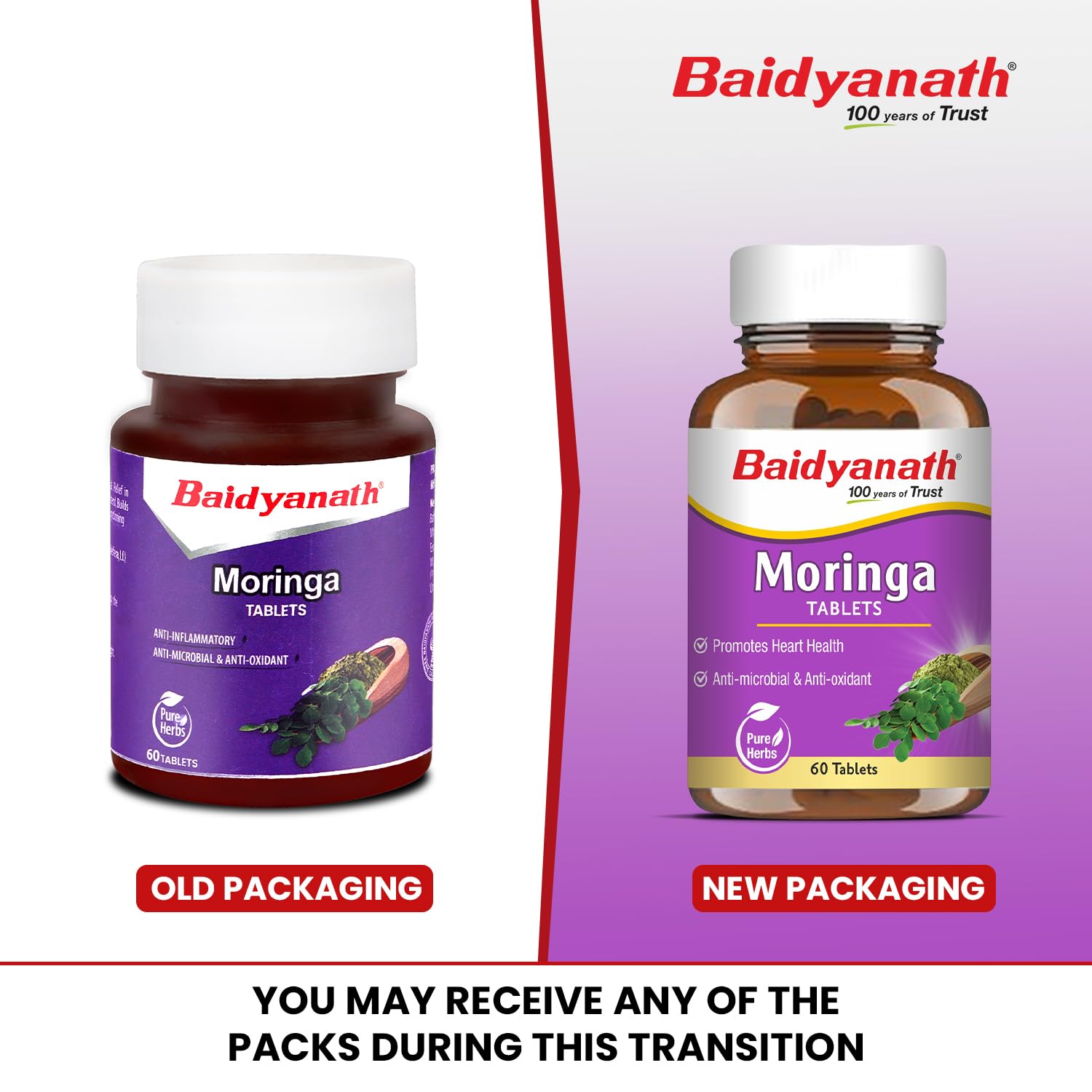 Baidyanath Ayurved Amlaki (Amla) Tablets, 60 Tablets, Herbal Supplement - front view (10)