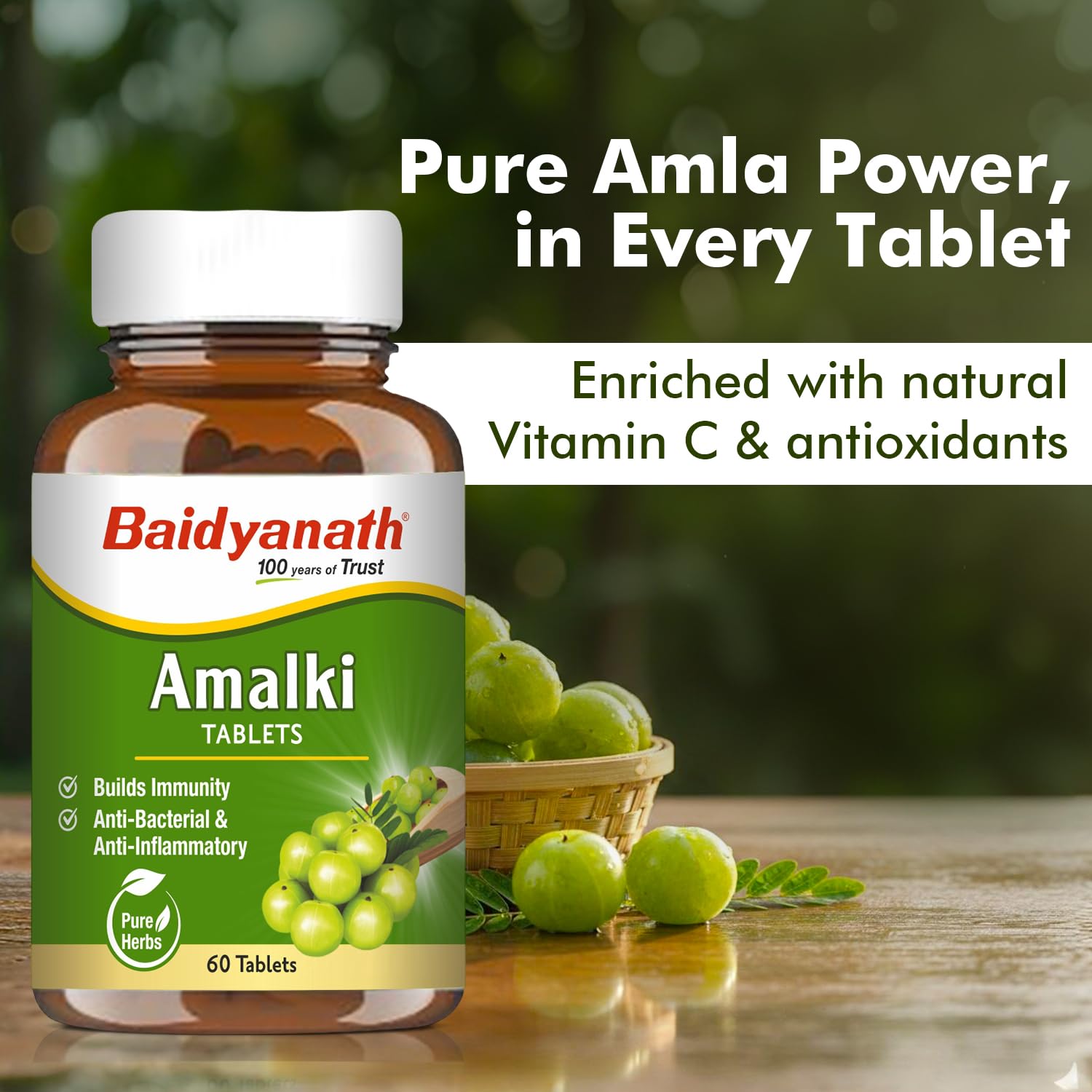 Baidyanath Ayurved Amlaki (Amla) Tablets, 60 Tablets, Herbal Supplement - front view