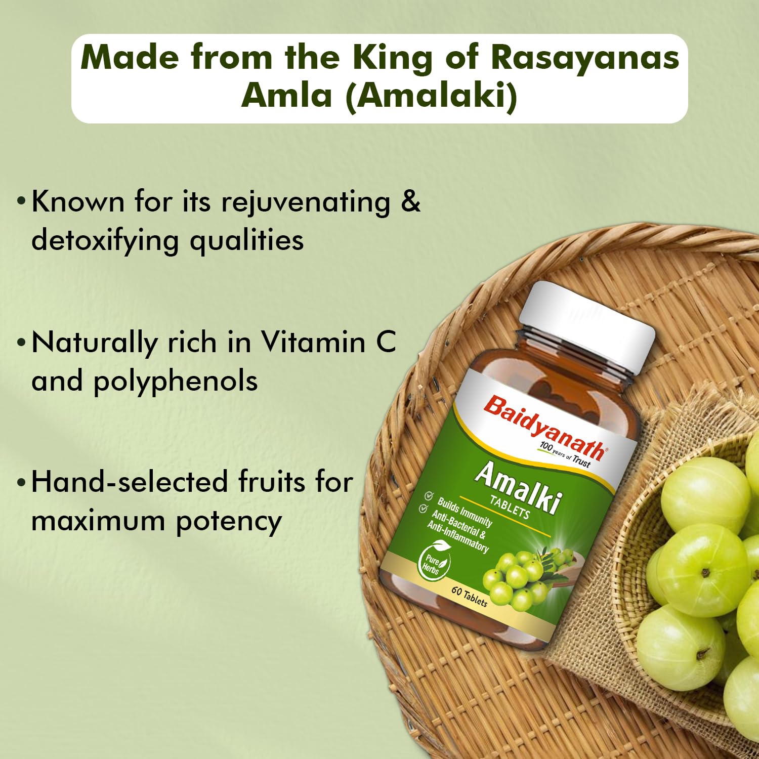 Baidyanath Ayurved Amlaki (Amla) Tablets, 60 Tablets, Herbal Supplement - back view