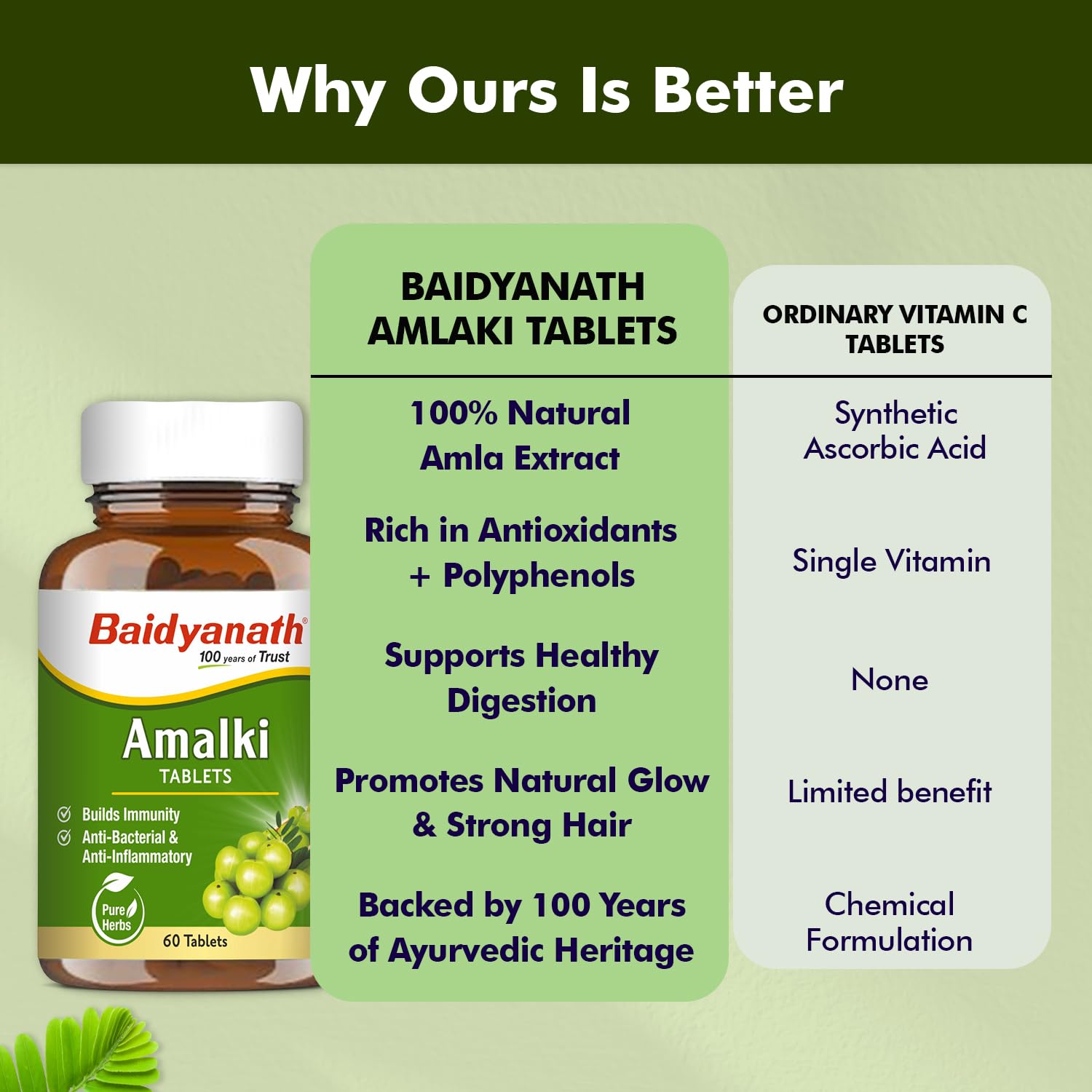 Baidyanath Ayurved Amlaki (Amla) Tablets, 60 Tablets, Herbal Supplement - label detail