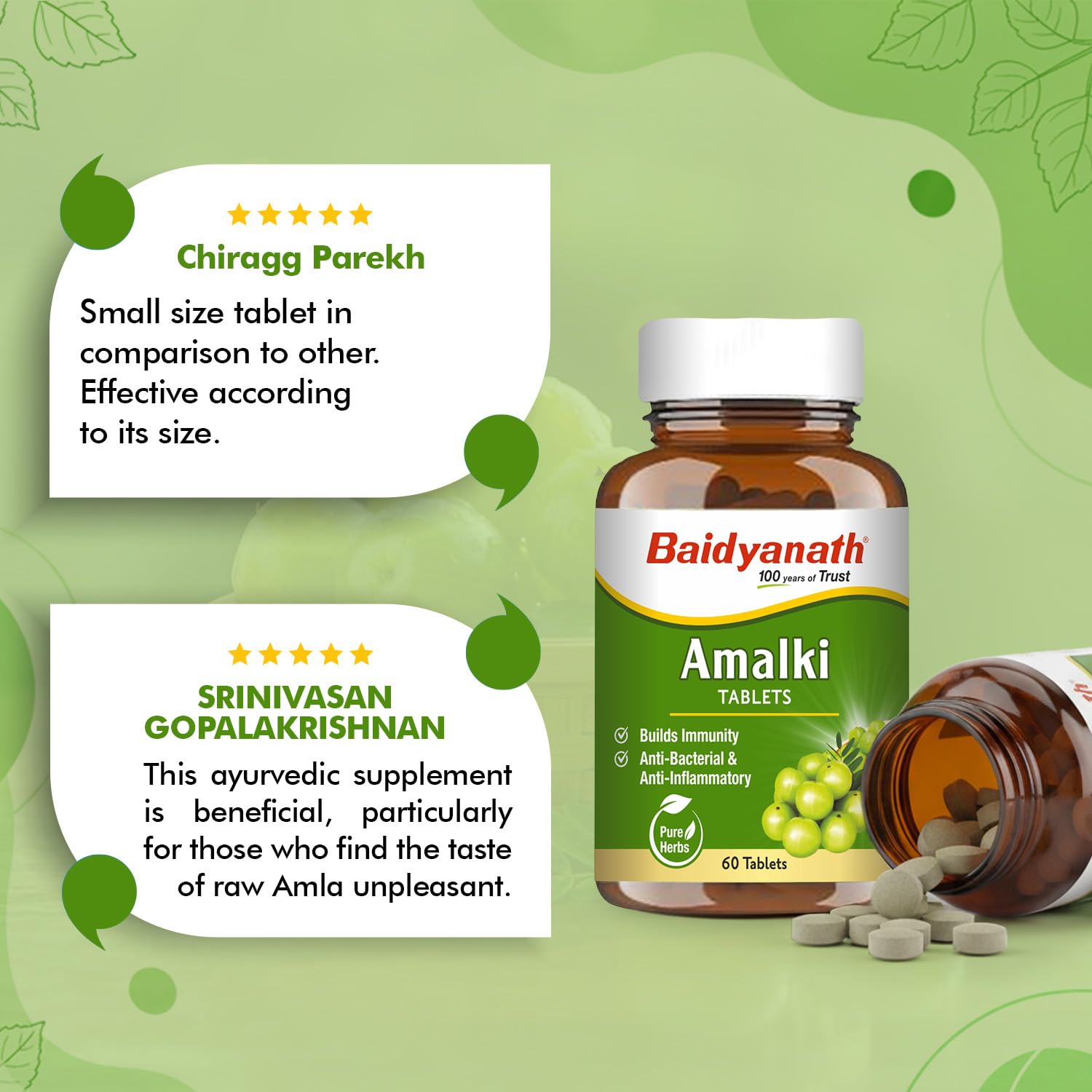 Baidyanath Ayurved Amlaki (Amla) Tablets, 60 Tablets, Herbal Supplement - ingredients panel