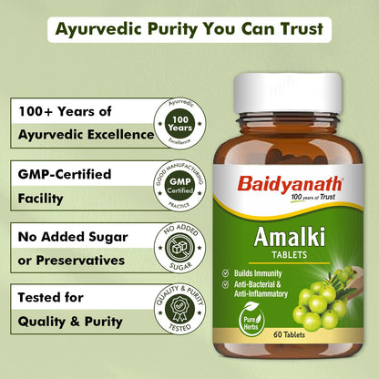 Baidyanath Ayurved Amlaki (Amla) Tablets, 60 Tablets, Herbal Supplement - close-up detail