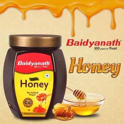 Baidyanath Ayurved Pure Honey, No Added Sugar, C4 Approved, 1 Pack - back view