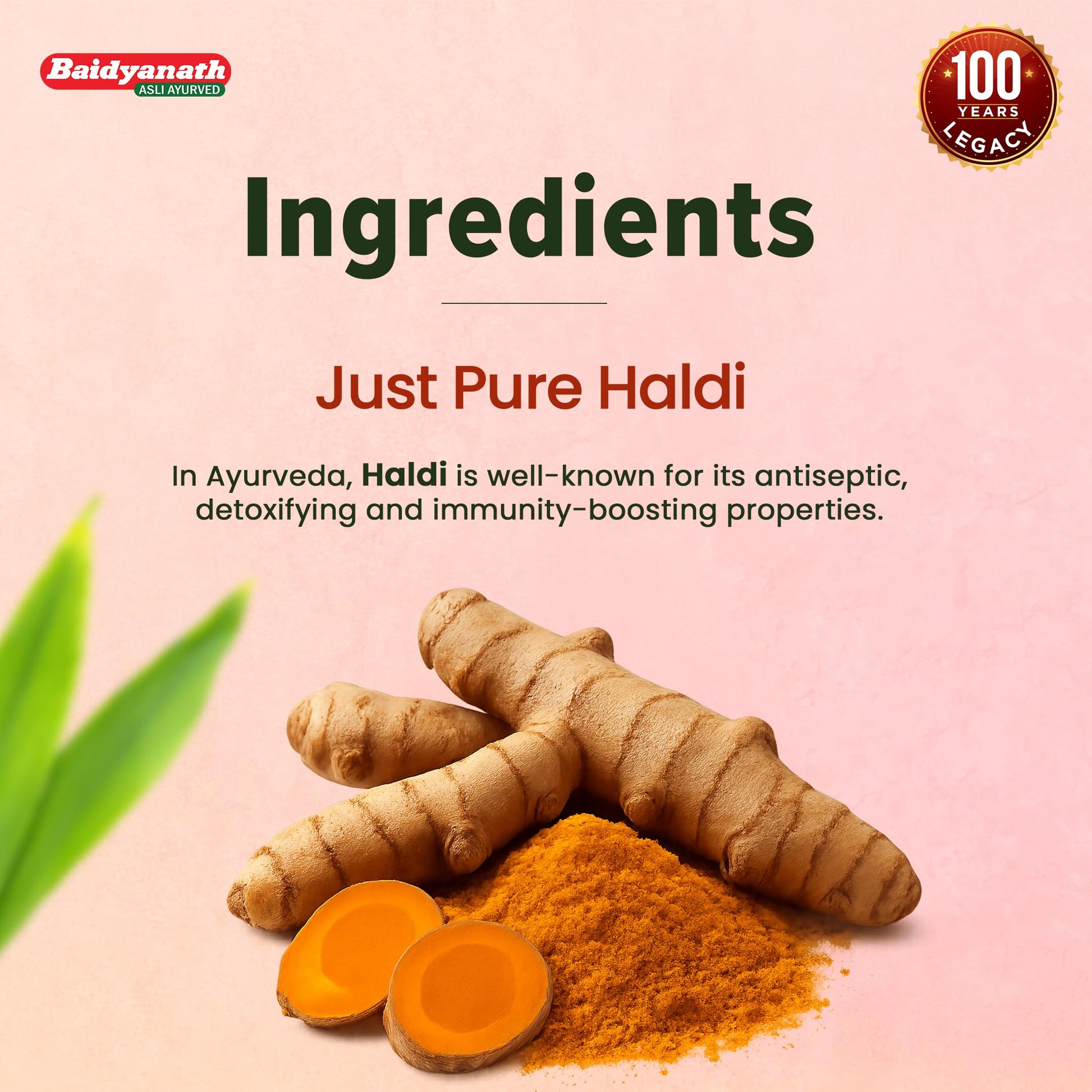 Baidyanath Haldi Turmeric Tablets, Haridra Extract, Ayurvedic Herbal Supplement - packaging