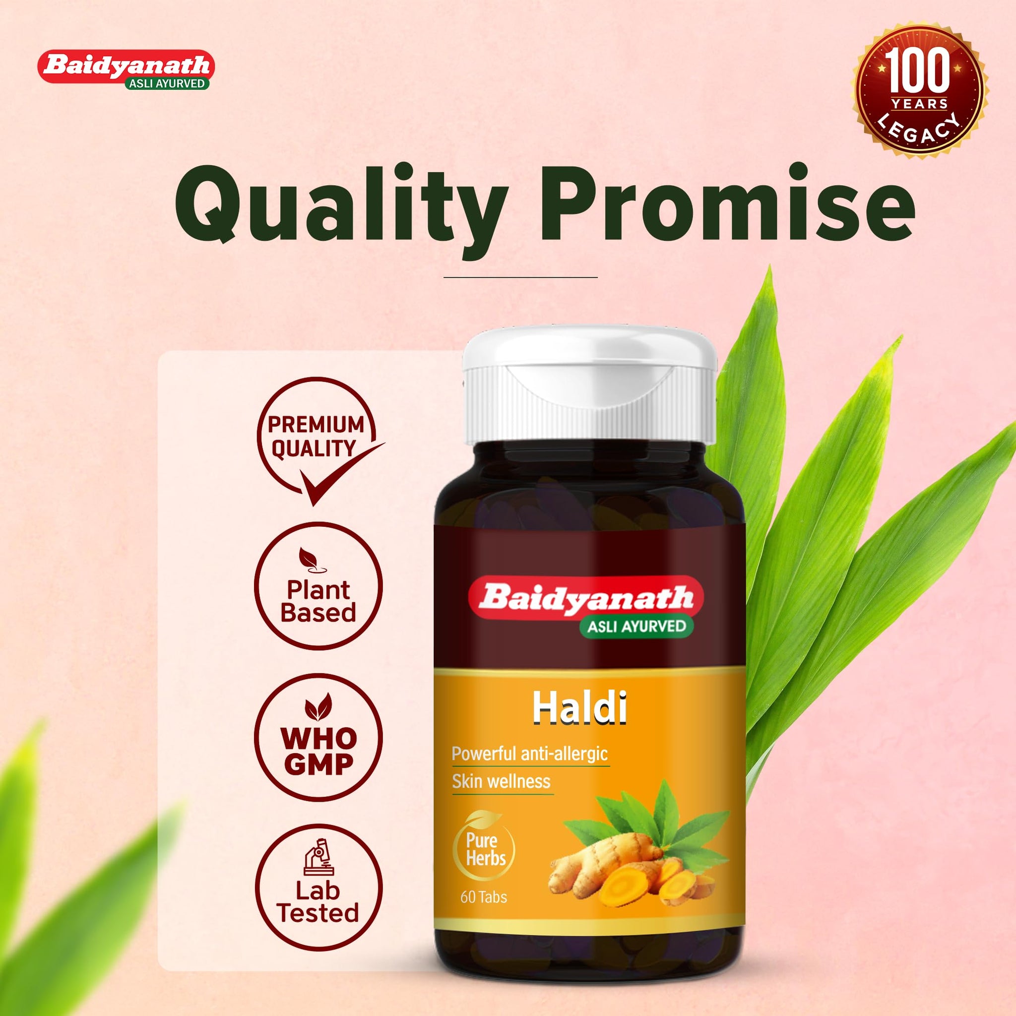 Baidyanath Haldi Turmeric Tablets, Haridra Extract, Ayurvedic Herbal Supplement - ingredients panel