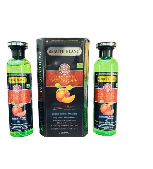 BEAUTE BLANC Fruit Vinegar Gel Hair Color - Natural Black Hair Dye, Semi-Permanent, 500ml (2-Pack)