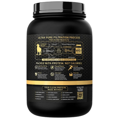Bigmuscles Nutrition Gold Whey Isolate (1kg, Arabica Coffee) | 27g Whey Protein Isolate 90% | 7 Natural Ingredients Only | 0 