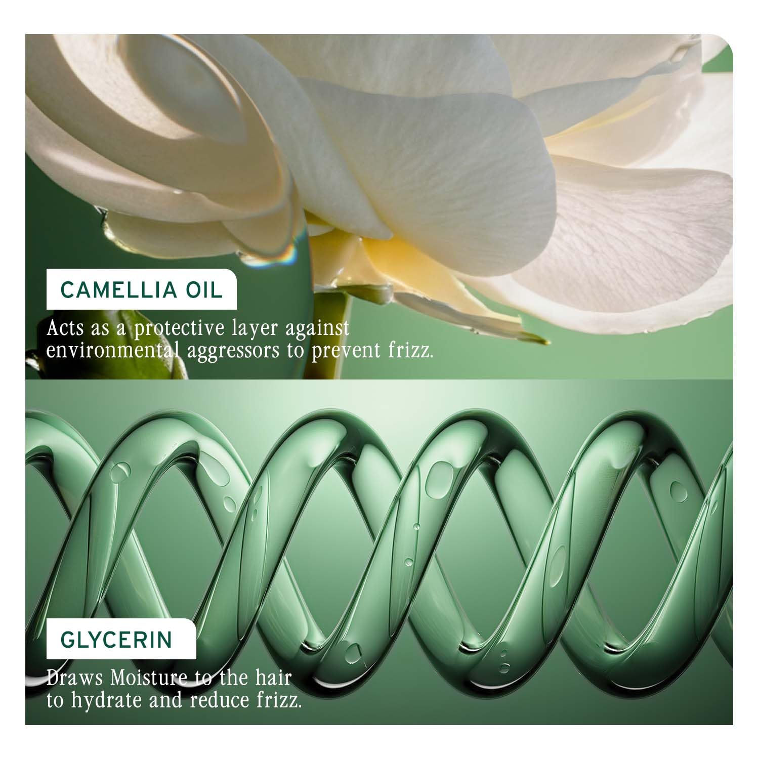 Biolage Smooth Proof Anti-Frizz Conditioner with Camellia Oil and Glycerin, Vegan and Cruelty-Free - label detail