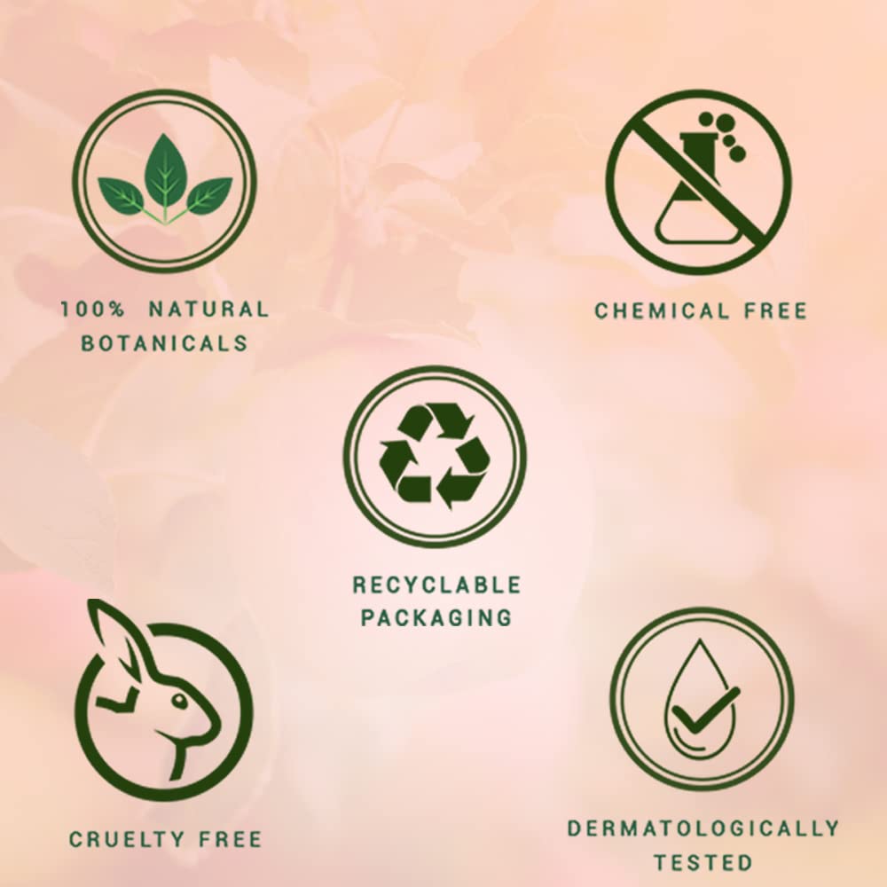 Biotique Bio Fruit Moisturizing Lip Balm with Botanical Extracts, 12g, All Skin Types - ingredients panel