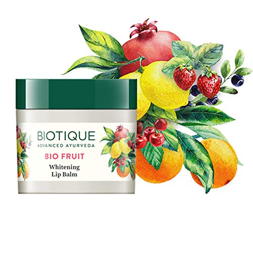 Biotique Bio Fruit Moisturizing Lip Balm with Botanical Extracts, 12g, All Skin Types - front view (9)