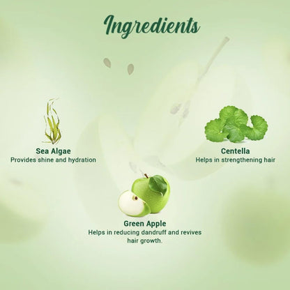 Biotique Green Apple Shine & Gloss Shampoo and Conditioner, Botanical Hair Cleanser with Green Apple Extract, pH-Balanced For