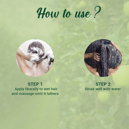 Biotique Green Apple Shine & Gloss Shampoo and Conditioner, Botanical Hair Cleanser with Green Apple Extract, pH-Balanced For