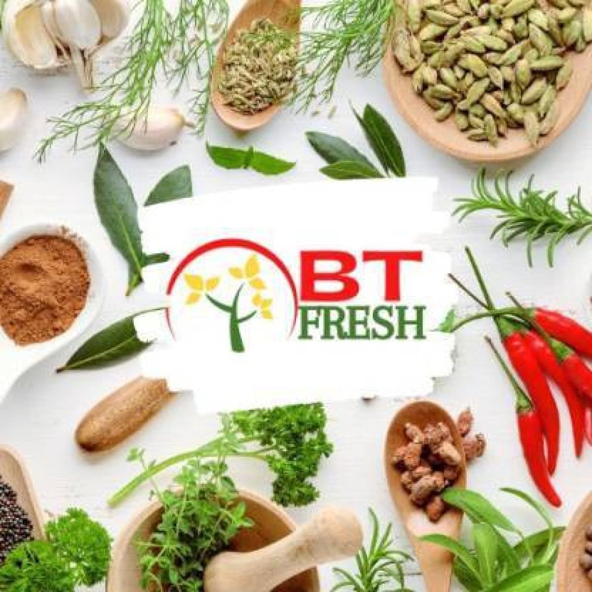 BT FRESH Ashwagandha Powder, Fine Export Quality, Herbal Spice Powder from India - back view