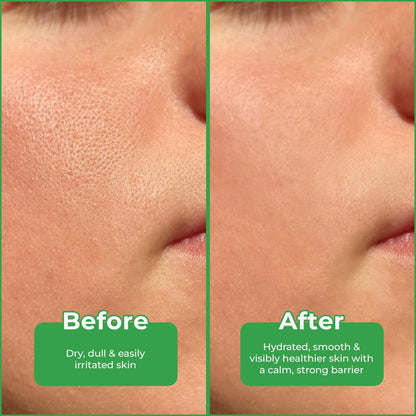 BUYWOW WOW Skin Science Korean Bamboo Gel with Peptide, 99% Pure Bamboo Extract, 200ml, Face & Hair Moisturizer - ingredients