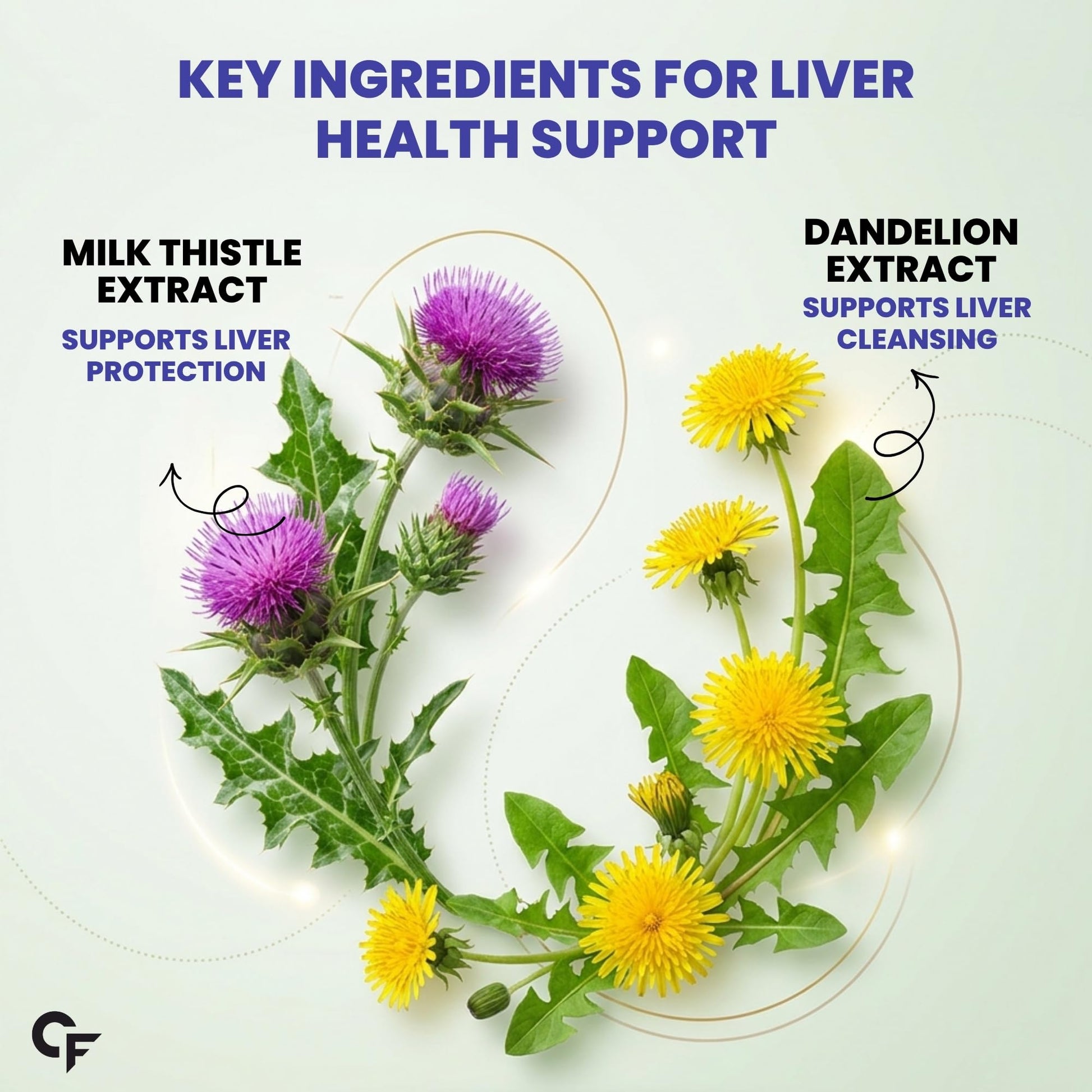 Carbamide Forte Milk Thistle Tablets with NAC, Dandelion & Vitamin C, 60 Count - label detail