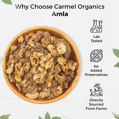 CARMEL ORGANICS Amla Fruit Powder 100g, Organic Herbal Supplement, Indian Gooseberry - back view (10)