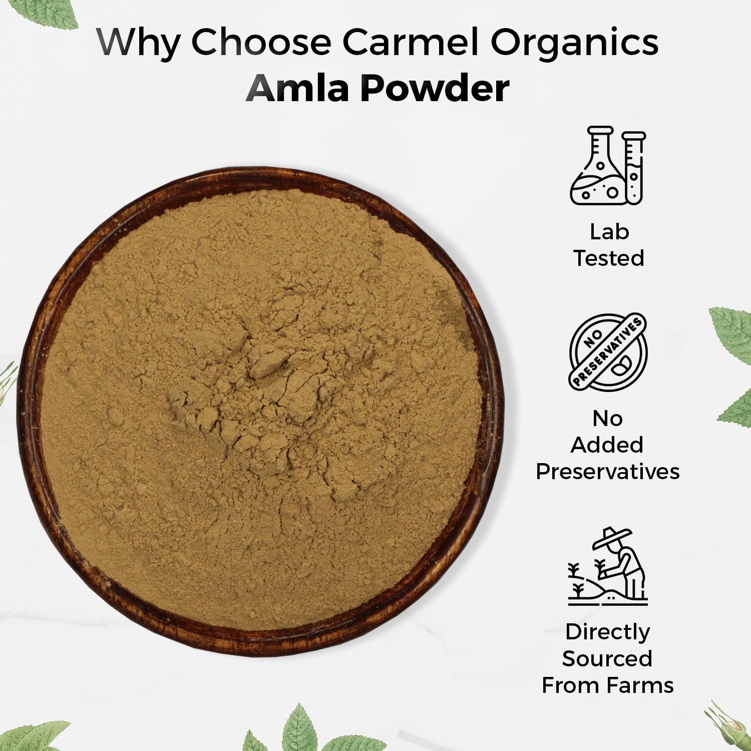 CARMEL ORGANICS Amla Fruit Powder 100g, Organic Herbal Supplement, Indian Gooseberry - back view (14)