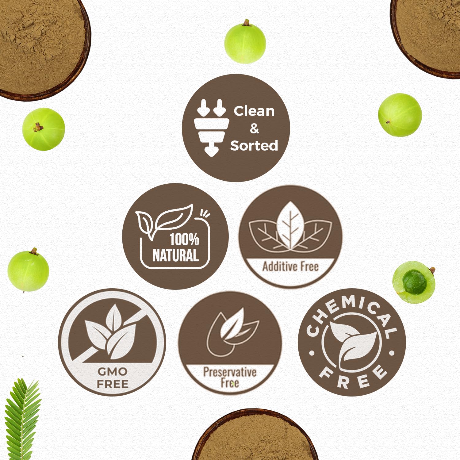 CARMEL ORGANICS Amla Fruit Powder 100g, Organic Herbal Supplement, Indian Gooseberry - packaging (15)