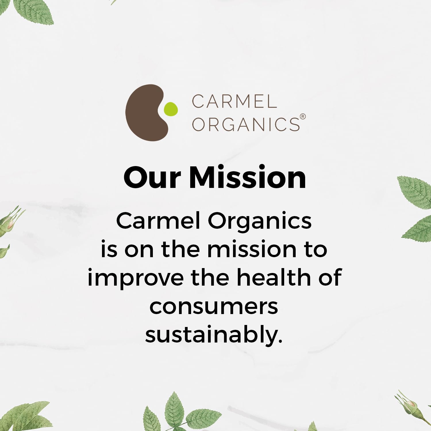 CARMEL ORGANICS Amla Fruit Powder 100g, Organic Herbal Supplement, Indian Gooseberry - close-up detail