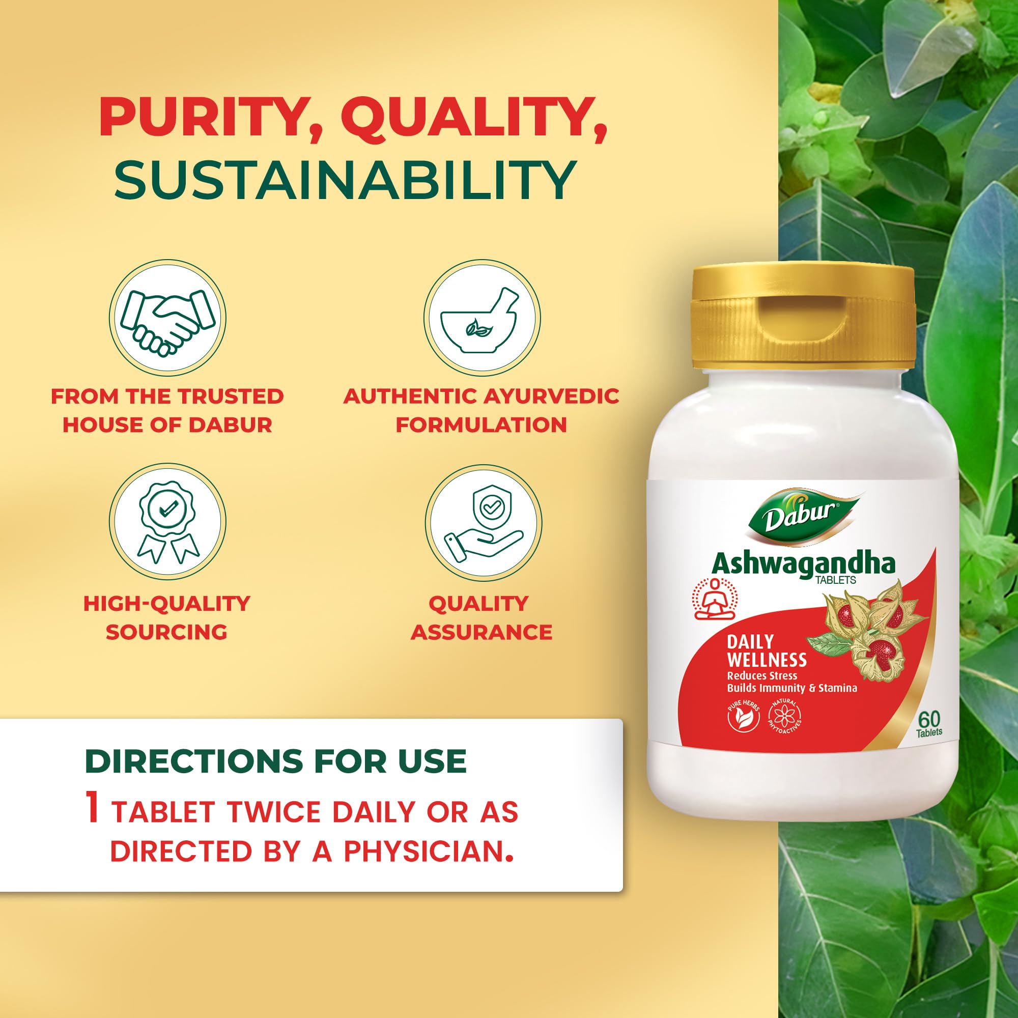 Dabur Ashwagandha Tablets - 60 tabs | General Wellness Tablets | Stress Relief | Rich in Antioxidants | Immunity Booster | Ri
