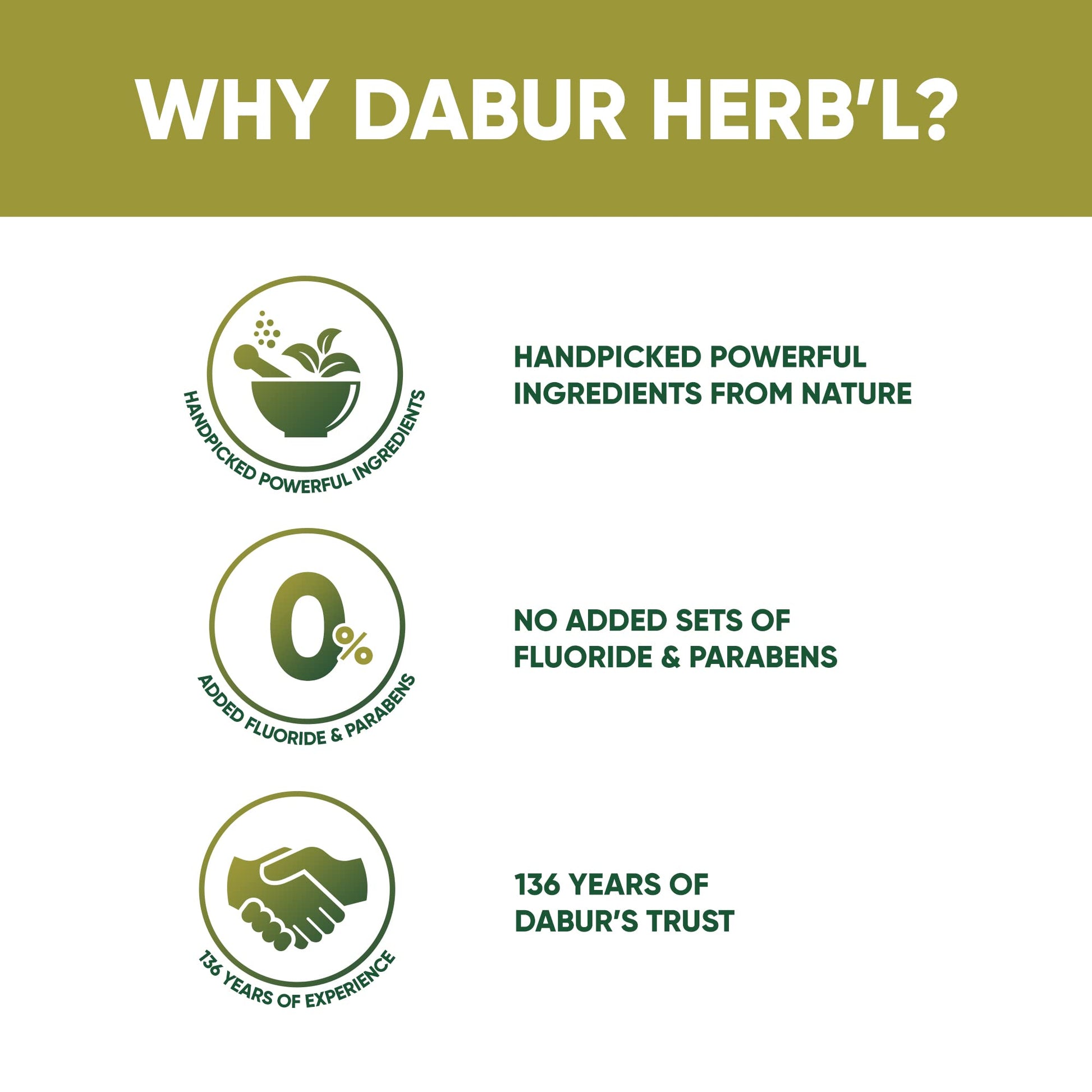 Dabur Herb'l Neem - Germ Protection Oral Care Toothpaste - 200 g - back view