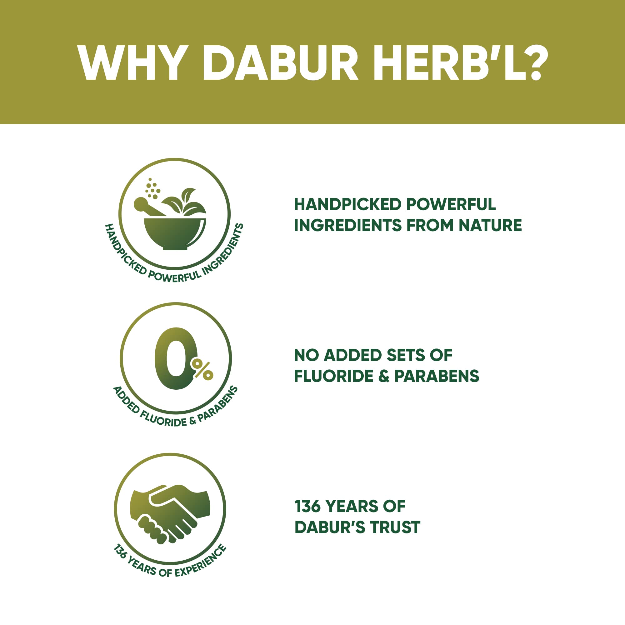 Dabur Herb'l Neem - Germ Protection Oral Care Toothpaste - 200 g - back view