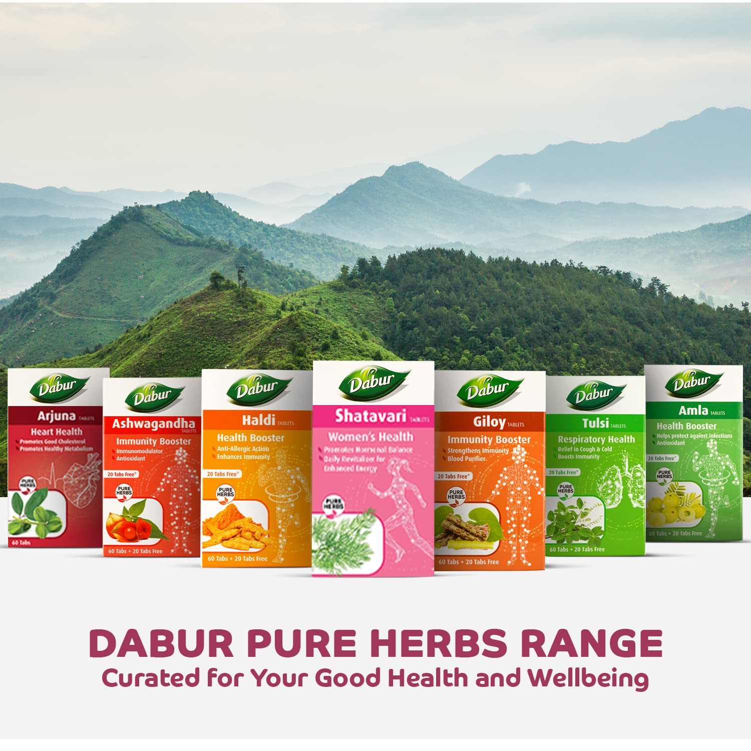 Dabur Shatavari Tablets, 60 Count, Women's Wellness Dietary Supplement, 34g - ingredients panel