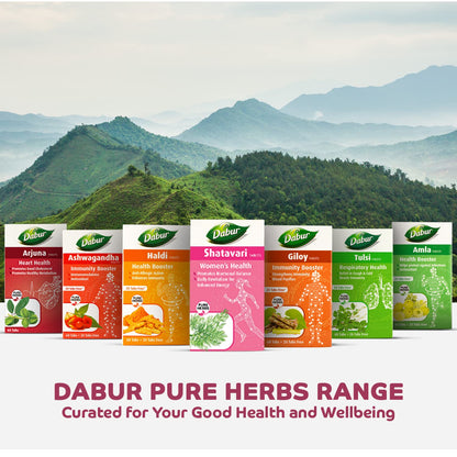 Dabur Shatavari Tablets, 60 Count, Women's Wellness Dietary Supplement, 34g - ingredients panel