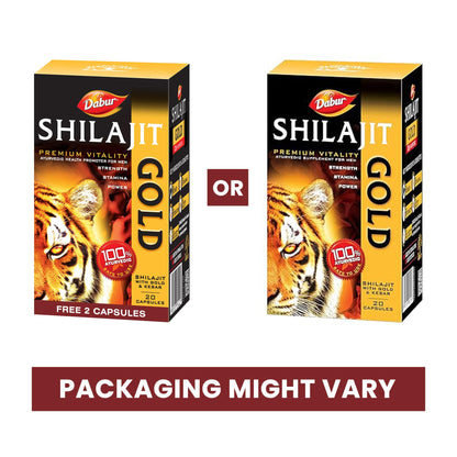 Dabur Shilajit Gold Ayurvedic Herbal Supplement Capsules, 20 Count, Adult - front view