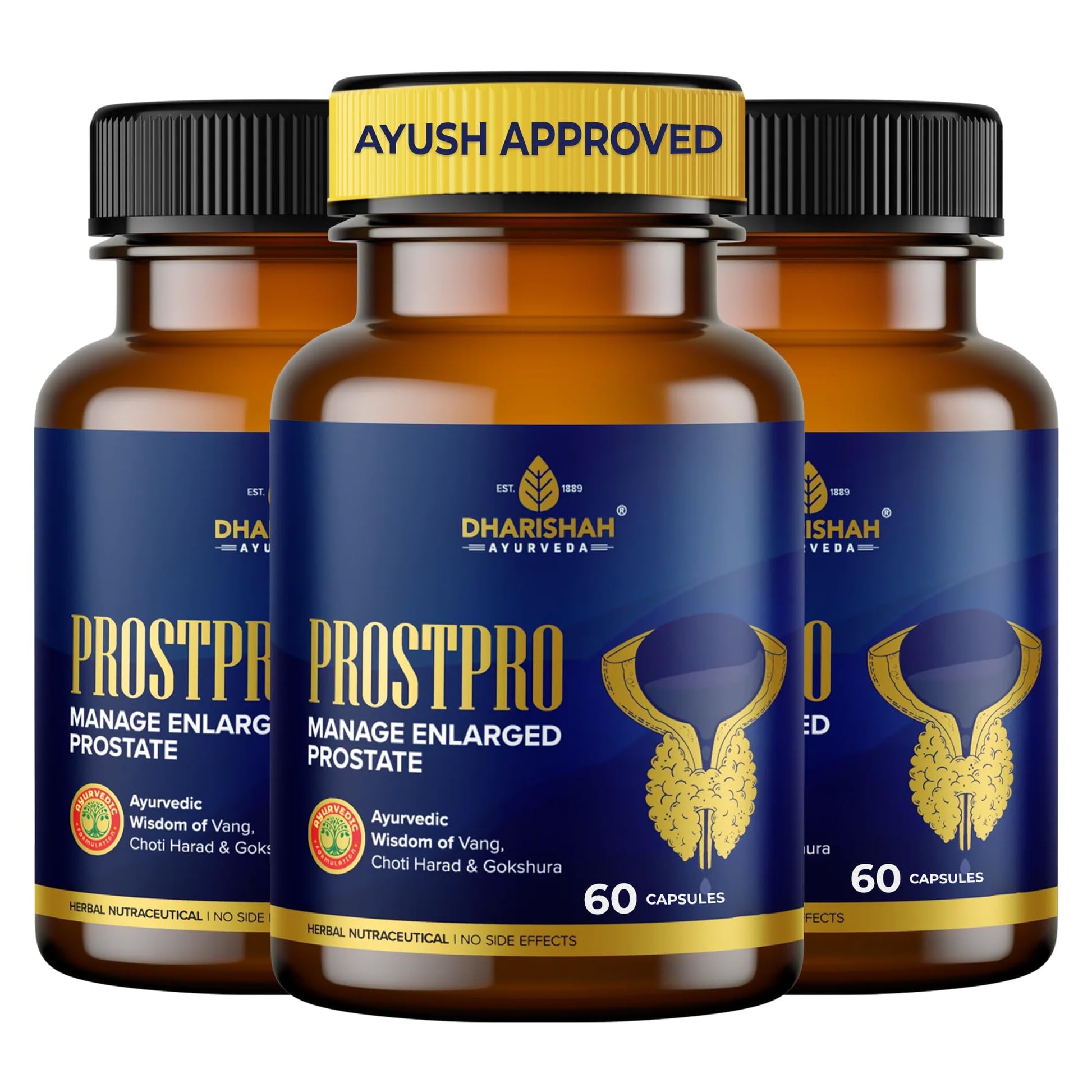Dharishah Ayurveda ProstPro Herbal Supplement Capsules, Vegetarian, Gluten Free, GMP & AYUSH Certified