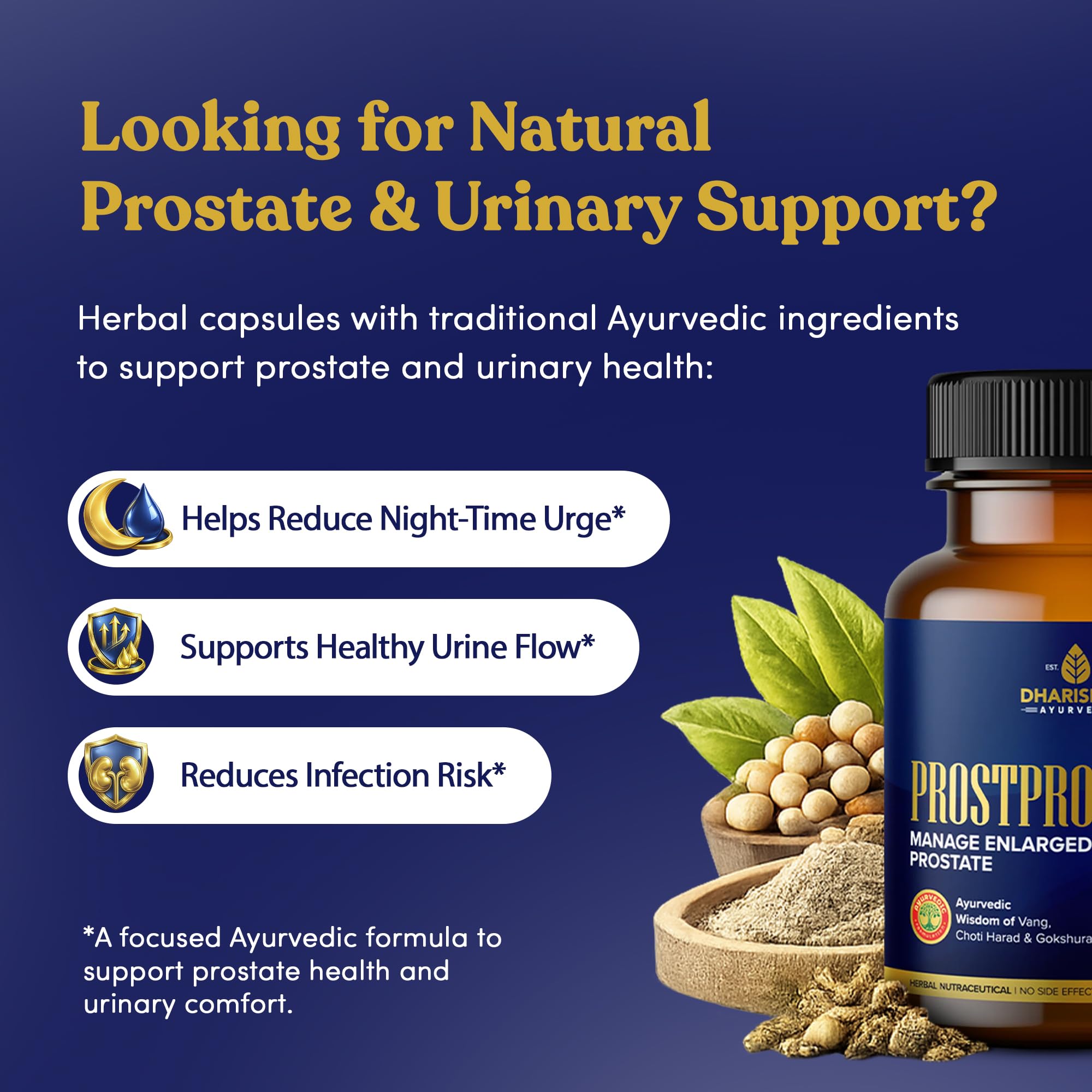 Dharishah Ayurveda ProstPro Herbal Supplement Capsules, Vegetarian, Gluten Free, GMP & AYUSH Certified - front view (10)