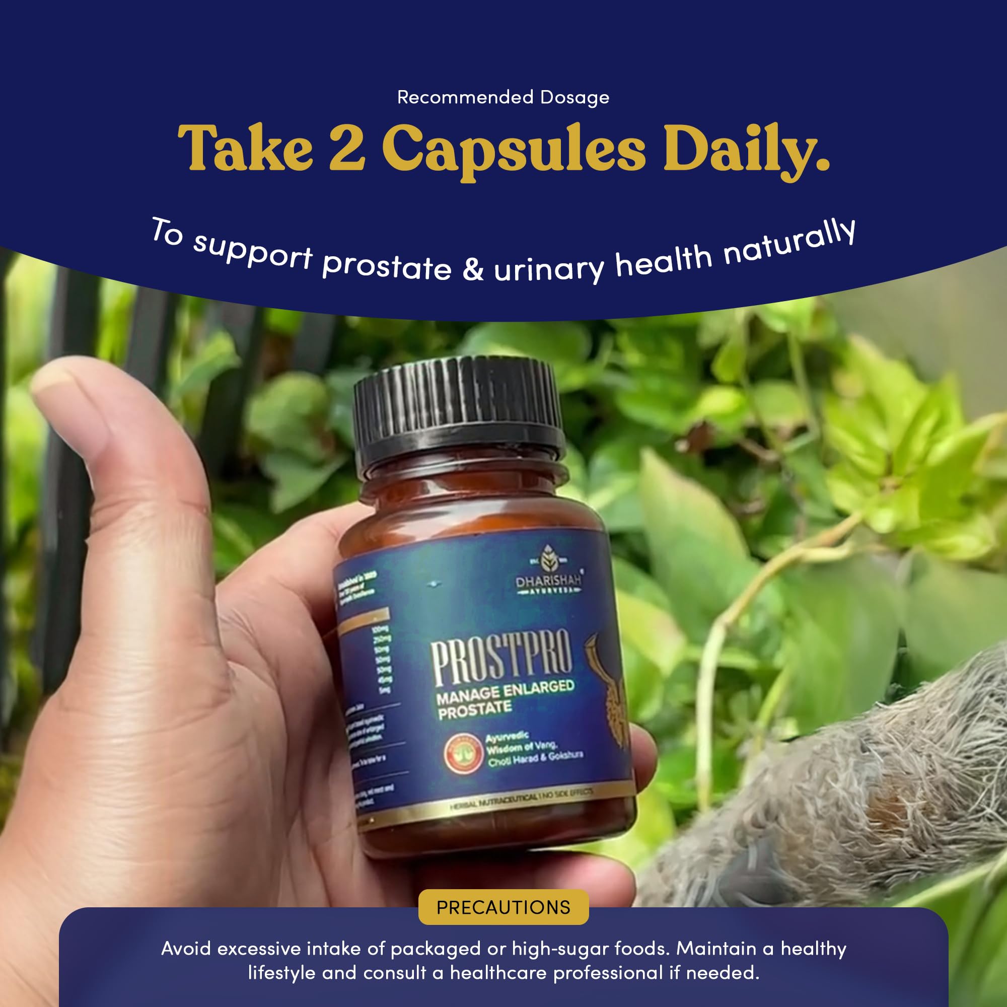 Dharishah Ayurveda ProstPro Herbal Supplement Capsules, Vegetarian, Gluten Free, GMP & AYUSH Certified - label detail (13)
